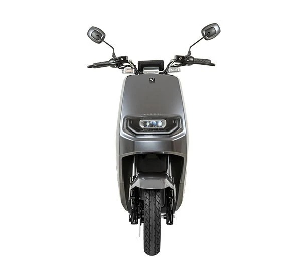 Adult Electric Motorcycle